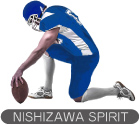 NISHIZAWA SPIPIT